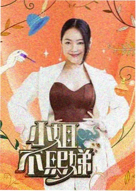 同导演作品长发公主封面